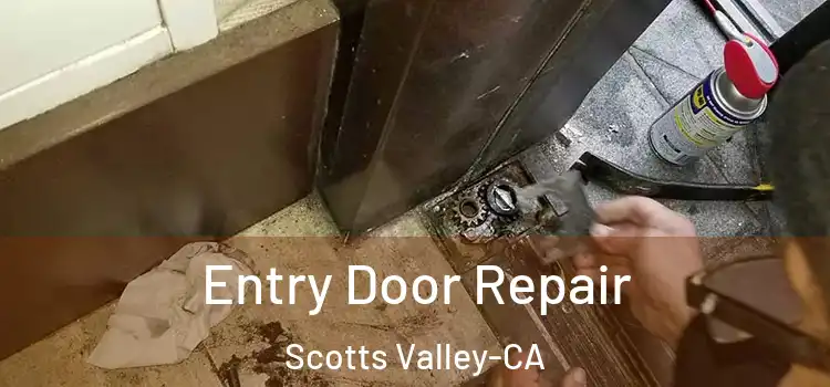  Entry Door Repair Scotts Valley-CA