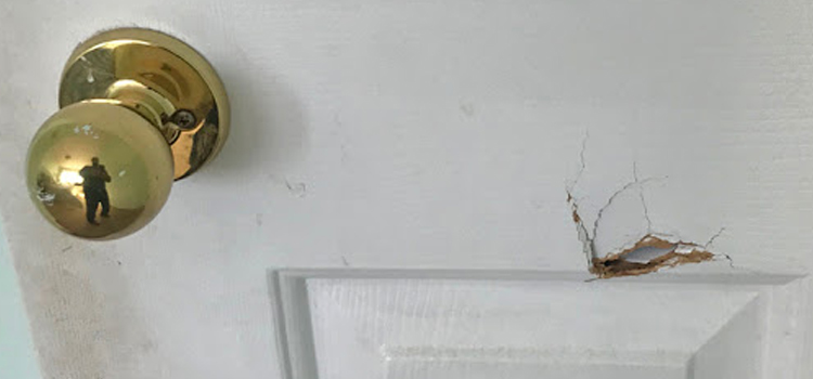 interior door hole repair Scotts Valley
